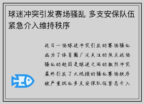 球迷冲突引发赛场骚乱 多支安保队伍紧急介入维持秩序