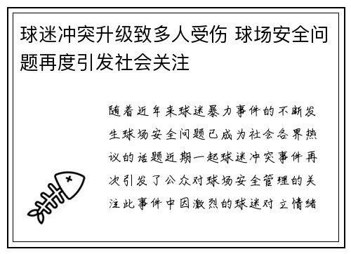 球迷冲突升级致多人受伤 球场安全问题再度引发社会关注